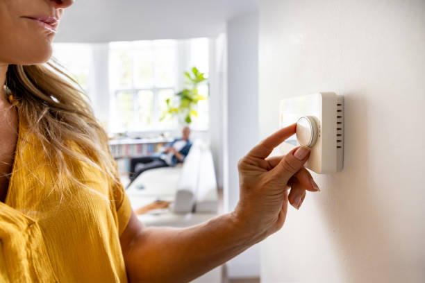 Best HVAC emergency services  in Lake Panasoffkee, FL